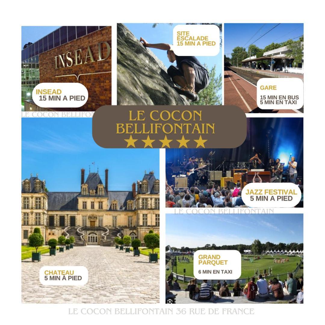 Apartment Le Cocon De Fontainebleau - Centre-Ville, Proche Insead & Chateau Fontainebleau